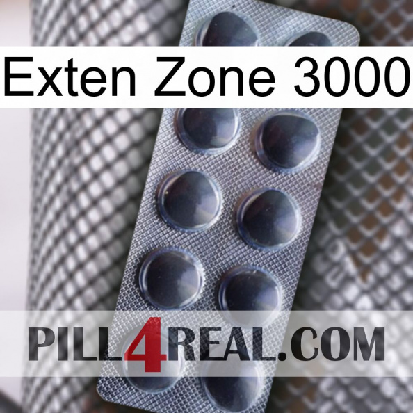 Exten Zone 3000 30.jpg